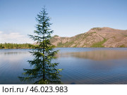 Озеро в таежной местности Якутии ( Оймяконский район ), ближайшее село - Учугей. Стоковое фото, фотограф Павел Просянов / Фотобанк Лори