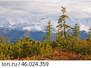 Осень в горах. Республика Саха (Якутия), Оймяконский район. Стоковое фото, фотограф Павел Просянов / Фотобанк Лори