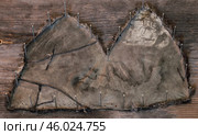 Шкурка от шапки из каракуля. Натянута для сушки. Стоковое фото, фотограф Анатолий Матвейчук / Фотобанк Лори