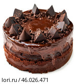 Delicious chocolate fudge cake dripping with ganache and decorated with chocolate chunks. Стоковое AI-изображение, AI-художник Иван Рябоконь / Фотобанк Лори