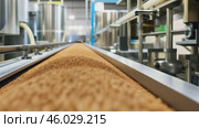 Grain processing plant. Close-up of conveyor belt carrying grains in a factory setting. Wheat kernels in a food production facility. Agricultural industry. Industrial machines processing grains. Стоковое AI-видео, аниматор Марина Демидюк / Фотобанк Лори