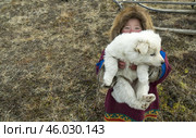 Ненецкая девочка и белый щенок. Этнография. Ямал. Редакционное фото, фотограф Катерина Романова / Фотобанк Лори