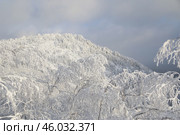 Снежный Урал. Редакционное фото, фотограф Антон Марунько / Фотобанк Лори