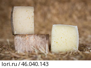 Whole head of ripe country cheese and slices on hay. Стоковое фото, фотограф Татьяна Яцевич / Фотобанк Лори