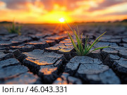 A symbolic image showing a green shoot pushing through cracked, parched earth. The photograph is taken from a low angle, highlighting the strength and resilience of the young grass. The ground is riddled with deep cracks, indicating drought and harsh conditions.In the background, a warm sunset with golden rays of sunlight creates a contrast between life and the parched soil. The light reflects beautifully on the surface of the earth, adding depth and texture to the image. This scene symbolizes hope, survival, the tenacity of nature, and the fight for life even in the most difficult circumstances. Стоковое AI-изображение, AI-художник Анна Кривицкая / Фотобанк Лори