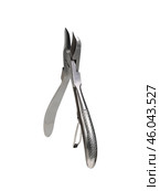 A pair of stainless steel nail clippers for manicure and a pedicure isolated on a white background. Design element with clipping path. Стоковое фото, фотограф Елена  Попкова / Фотобанк Лори