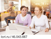 Two young women sitting at table, using laptop and enjoing cup of tea in coffee house. Modern female lifestyle concept. Стоковое фото, фотограф Яков Филимонов / Фотобанк Лори