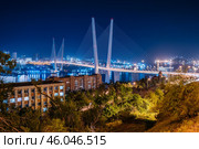 Glowing zolotoy bridge illuminating vladivostok's golden horn bay, urban lights mirroring on dark water's surface during nighttime cityscape. Стоковое фото, фотограф Mikhail Davidovich / Фотобанк Лори