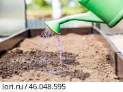 There is a watering can in the hands of an elderly woman. The farmer waters the garden with solutions of potassium permanganate against diseases and pests before planting seedlings in the ground. Стоковое фото, фотограф Photojuli / Фотобанк Лори