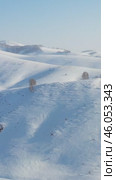 Vertical Aerial video from drone on winter snow landscape. Biryuksinsky mountain pass in Altai. Стоковое видео, видеограф Сергей Пристяжнюк (Serg Zastavkin) / Фотобанк Лори