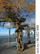 Fantastically beautiful Huson River Promenade in South Cove Park in Battery Park City. Manhattan, NYC. Редакционное фото, фотограф Валерия Попова / Фотобанк Лори