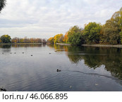 Пруд Садки в районе Текстильщики в Москве осенью. Редакционное фото, фотограф Александр Замараев / Фотобанк Лори