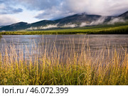 Берег реки, трава, низкие облака над Индигиркой, Якутия, Оймяконский район. Стоковое фото, фотограф Павел Просянов / Фотобанк Лори