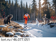 Зимний лыжник в ярком костюме проходит по лесной дороге с дикими животными. На травянистых проталинах растут ягоды и грибы. Стоковое AI-изображение, AI-художник Сергей Никифоров-Гордеев / Фотобанк Лори