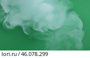 Abstract swirling white smoke on Green Screen. Smoke fume is slowly forming, moving in the air isolated on green background. Smoky fog animation among Chroma key backdrop. Compositing, visual effects. Стоковое AI-видео, аниматор Марина Демидюк / Фотобанк Лори