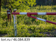 Красно белый шлагбаум в лесу. Стоковое фото, фотограф DamienTn / Фотобанк Лори