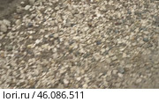 Crushed stone, small stones, pebbles, autumn time щебеночное покрытие, мелкие камни, галька, осеняя пора. Стоковое видео, видеограф Опока Алексей / Фотобанк Лори