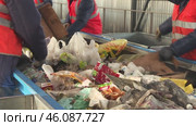 Workers sort garbage at a waste recycling plant. Стоковое видео, видеограф Андрей Шалари / Фотобанк Лори
