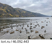 Набережная города Дивногорска с видом на горы. Красноярский край. Стоковое фото, фотограф Вера Коцюбайло / Фотобанк Лори