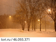 A snowy street with a few trees and street lights at winter nigth. Парк имени 50-летия Октября ночью зимой. Стоковое фото, фотограф Ilaronsia / Фотобанк Лори