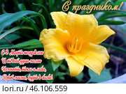 Открытка к 8 марта. Стоковое фото, фотограф Николай Иванович Немчанинов / Фотобанк Лори