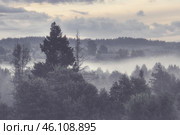 Beautiful view of a small village in the forest. Morning fog in the countryside. Picturesque summer rural landscape. Old wooden houses surrounded by nature. Vologda region, Russia. Tinted photo. Стоковое фото, фотограф Андрей Степанов / Фотобанк Лори
