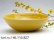 Yellow bowl with water and ochna serrulata branch creating a serene atmosphere. Стоковое AI-изображение, AI-художник Иван Рябоконь / Фотобанк Лори