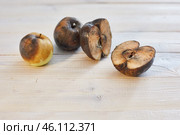 Spoiled apples on a wooden surface. Стоковое фото, фотограф Кутина Татьяна / Фотобанк Лори