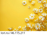 White daisies and gypsophila paniculata creating a floral frame on yellow background. Стоковое AI-изображение, AI-художник Иван Рябоконь / Фотобанк Лори