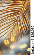 Golden palm leaf gently swaying against blurred lights. Стоковое AI-видео, аниматор Юрий Поздников / Фотобанк Лори