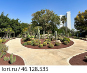 Cactus Park on the the campus of the Weizmann Institute of Science. Стоковое фото, фотограф Irina Opachevsky / Фотобанк Лори