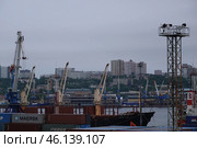 Суда на вечерней разгрузке. Владивостокский морской торговый порт (2022 год). Редакционное фото, фотограф Free Wind / Фотобанк Лори