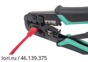 Красный LAN кабель и инструмент обжимки кабелей на белом фоне. LAN cable and cable crimping tool on white background. Стоковое фото, фотограф Татьяна Д / Фотобанк Лори