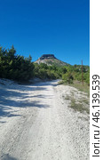 A picturesque Crimean landscape with a dirt road leading to a massive flat-topped rock. This mountain features steep cliffs and layered limestone rocks, which is typical of many Crimean mountain ranges. The lower part of the mountain is covered with dense green trees and bushes, creating a contrast with the dry, rocky slope.Mountain definition:The image probably depicts Mount Kyz-Kermen, one of the notable Crimean flat-topped mountains located near Bakhchisaray. This is an ancient cave settlement, used in the Middle Ages as a fortified settlement. The mountain has expressive rock ledges and grottoes, which can be seen in the photograph. Стоковое фото, фотограф Анна Кривицкая / Фотобанк Лори