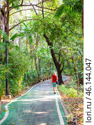 A male tourist walks along a path in Chatuchak Park in Bangkok, Thailand among tall green trees (2024 год). Стоковое фото, фотограф Коханова Наталья / Фотобанк Лори