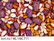 Фасоль разных сортов (фиолетовая, белая, коричневая, бежевая, разноцветная), перемешанная. Фон. Фотообои. Бобовые. Красочная фотография. Стоковое фото, фотограф Зинаида Никитенко / Фотобанк Лори