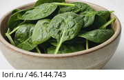 Fresh spinach leaves in bowl isolated on white. Green vegan breakfast meal. Plate of greenery. Clean eating, dieting, vegan food concept. Healthy diet design project. Organic Baby Spinach. Leaf salad. Стоковое AI-видео, аниматор Марина Демидюк / Фотобанк Лори