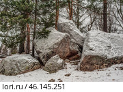 Large boulders, partly covered with snow, surrounded by coniferous and deciduous trees. The stones have a rough, natural texture, and their surface is covered in places with moss and ice. In combination with the snow-covered ground and bare tree branches, the scene creates the atmosphere of a winter forest. Such boulders could be part of a natural landscape, megalithic formations, or even historical places of worship. Coniferous trees add contrast to the snow cover and enhance the feeling of northern nature. Стоковое фото, фотограф Анна Кривицкая / Фотобанк Лори
