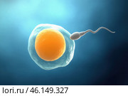 Sperm approaching egg for fertilization. Стоковое AI-изображение, AI-художник Башкирова Анна / Фотобанк Лори