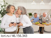 Elderly women have withdrawn from their male companions, stand with glass of wine in hands, chatting. Стоковое фото, фотограф Яков Филимонов / Фотобанк Лори