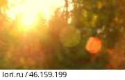 Green Natural Bokeh Background. Defocused Leaves of Trees and Soft Sunset Sunlight Transparenting through Branches. Abstract Vibrant Backdrop. Texture of Sunbeams, Sunrays. Blurred Summer Foliage. Стоковое видео, видеограф Марина Демидюк / Фотобанк Лори