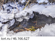 Родник журчащий посреди ледяной шубки. Стоковое фото, фотограф Сергей Авдеенко / Фотобанк Лори