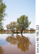 Большая вода, весна, Астраханская область. Стоковое фото, фотограф Павел Просянов / Фотобанк Лори