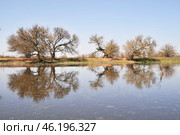 Большая вода, весна, Астраханская область. Стоковое фото, фотограф Павел Просянов / Фотобанк Лори
