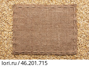Classical frame on oats grain. Стоковое фото, фотограф Александр Собко / Фотобанк Лори