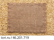 Classical frame on barley grain. Стоковое фото, фотограф Александр Собко / Фотобанк Лори