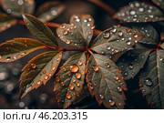 Close-up macro shot of red-green leaves, drops of water on the leaves. The texture. Стоковое AI-изображение, AI-художник Photojuli / Фотобанк Лори