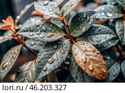 Close-up macro shot of red-green leaves, drops of water on the leaves. The texture. Стоковое AI-изображение, AI-художник Photojuli / Фотобанк Лори