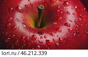 Close-up image of a ripe juicy red apple covered in dew drops. Dark red apple with water droplets on it, macro. Fresh organic fruit banner. Apples background. Shiny fruit, healthy, nutrition. Стоковое AI-видео, аниматор Марина Демидюк / Фотобанк Лори