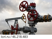Республика Татарстан. Нефтяной станок-качалка и вентили кустовой насосной станции. Стоковое фото, фотограф Егор Алеев / ТАСС / Фотобанк Лори